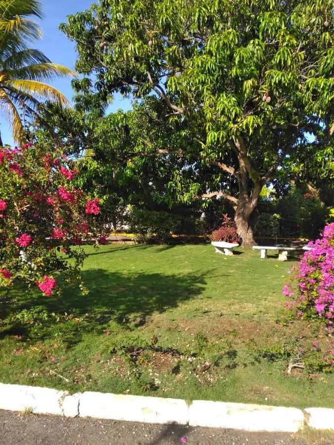 Apartmán Irresistible View-Mobay Club 1408 Montego Bay Exteriér fotografie