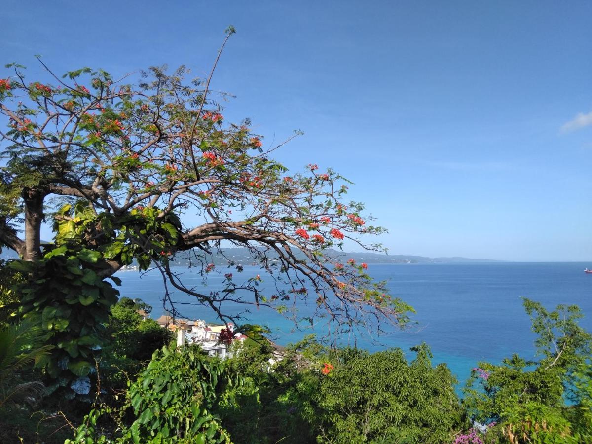 Apartmán Irresistible View-Mobay Club 1408 Montego Bay Exteriér fotografie
